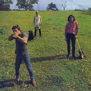 Cosmic Psychos - Down on the Farm (VINYL LP)